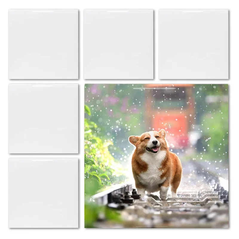 20pcs 4' X 4' Sublimation Blan - огляд і ціна Ceramic Tile Blank